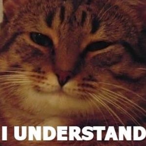 Meet your Posher, Alexander